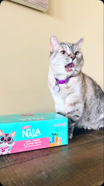 Nala Cat with Love Nala cat food